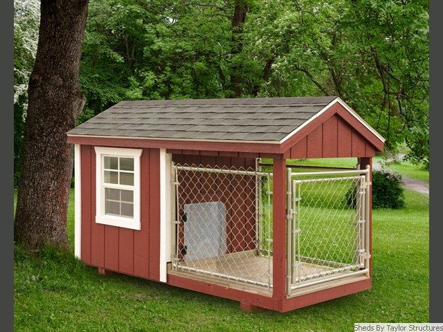 Dog1